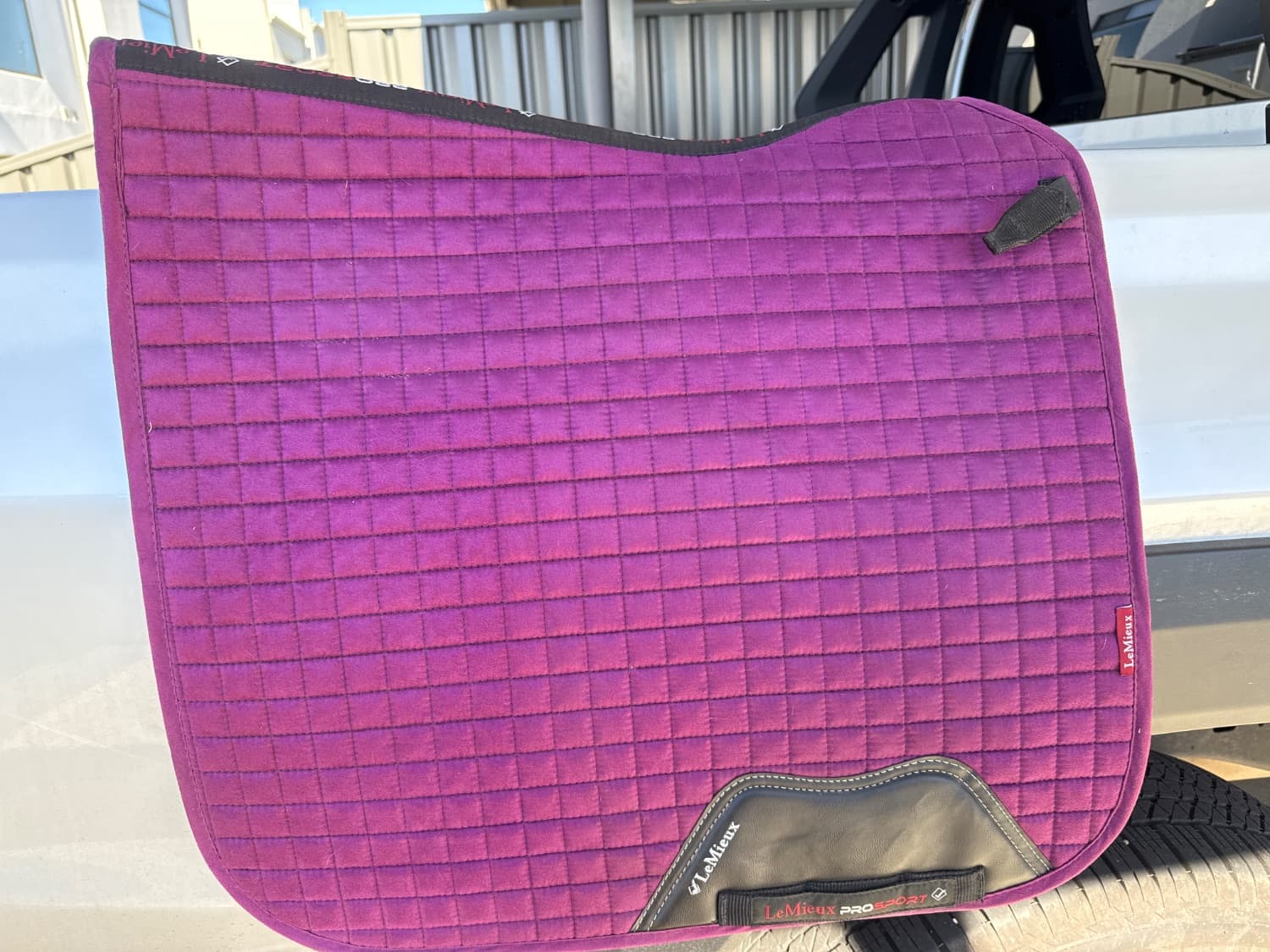 Lemieux large dressage pad — image 1