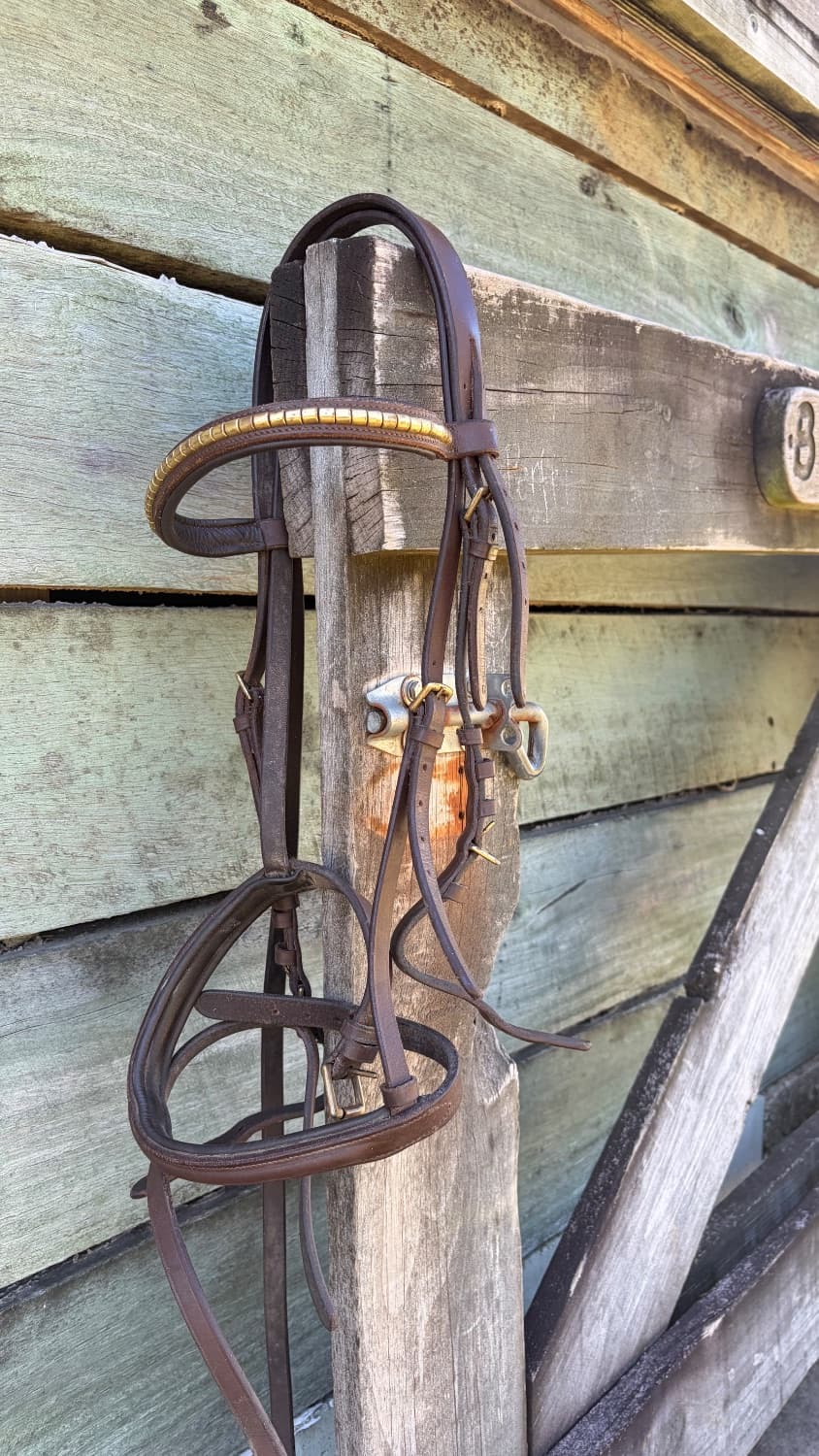 Brown Cob bridle and reins — image 1