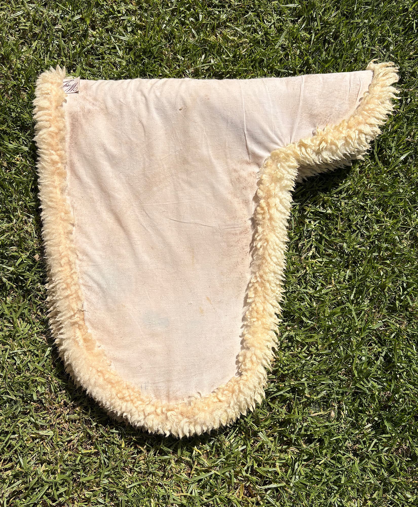 Wagner’s cream full numnah