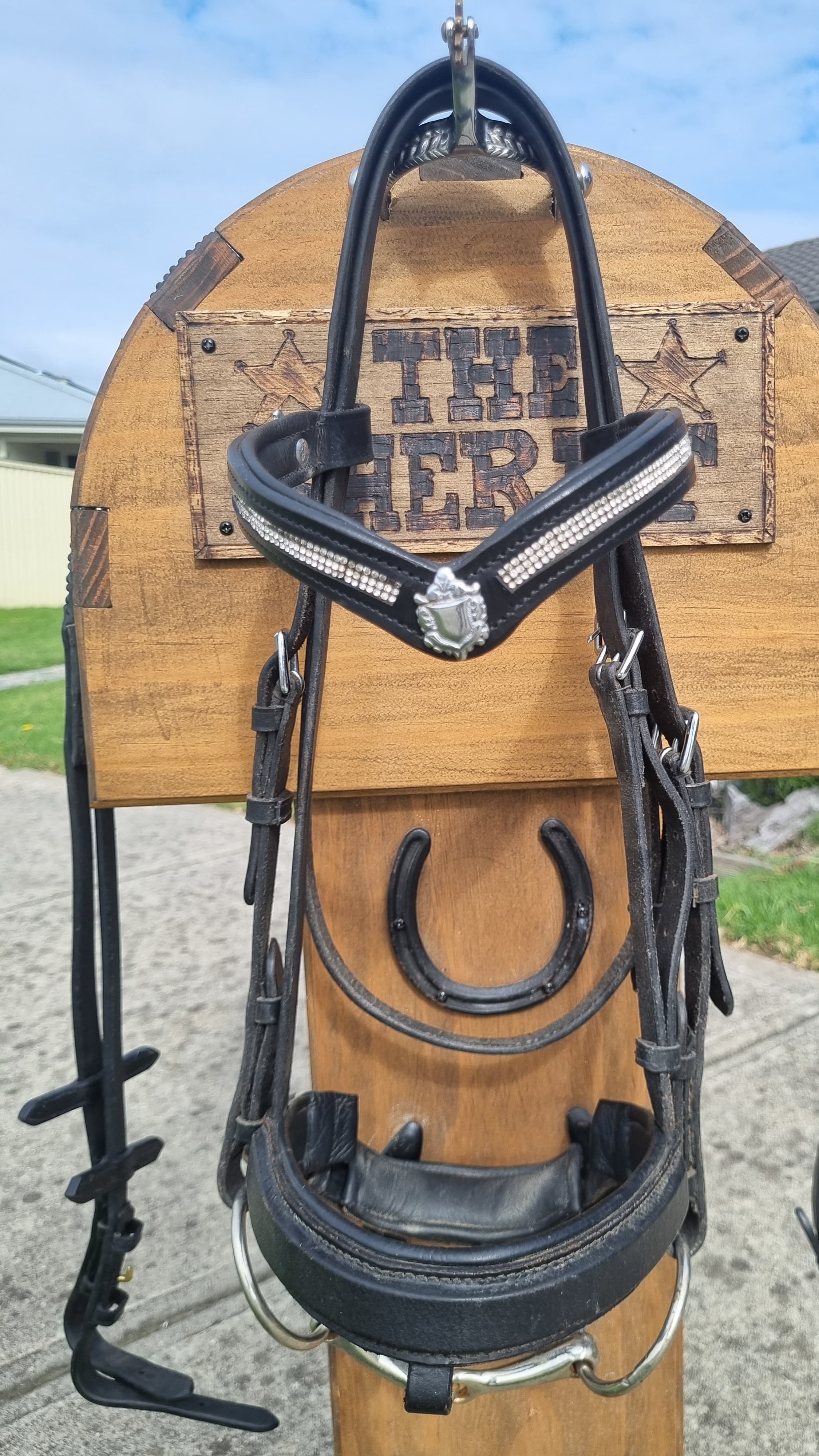 Cavesson Bridle — image 1