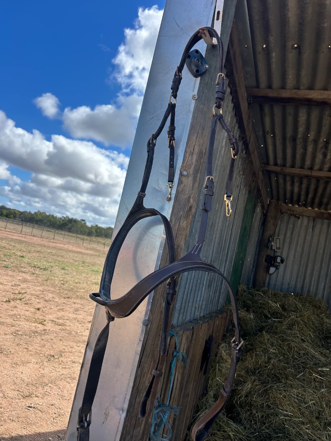 full size cavalier 5 point breastplate