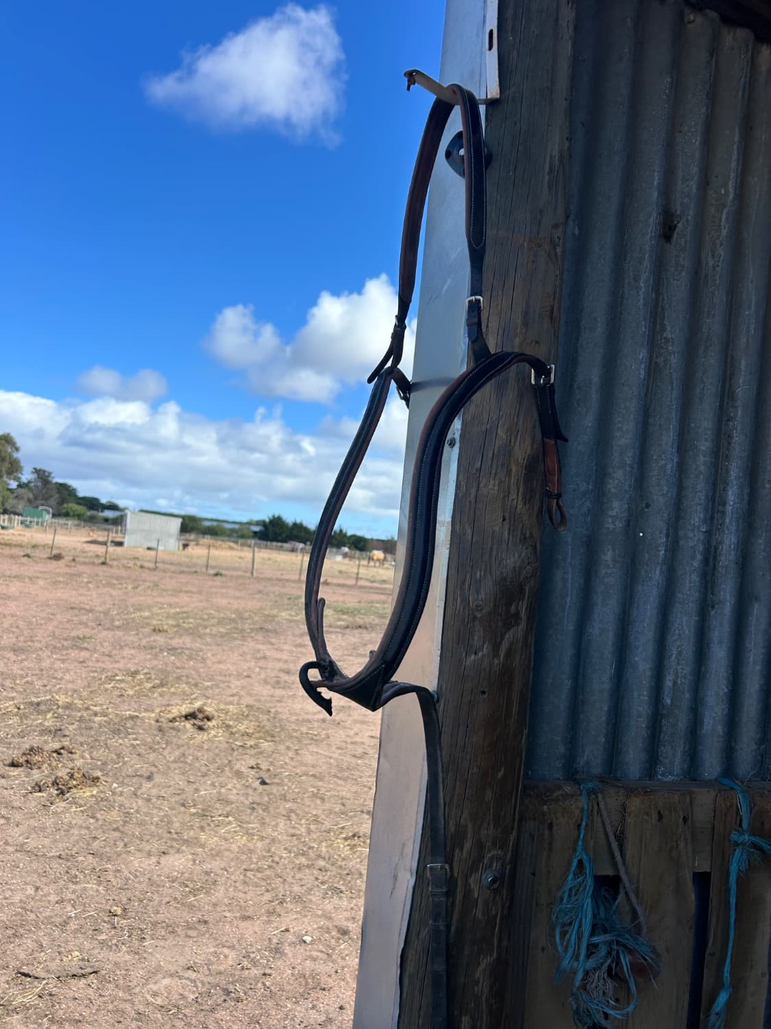 full size lumiere anka breastplate