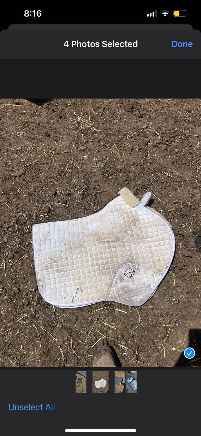 RRP $250 merino sheepskin lined white lemieux jump pad