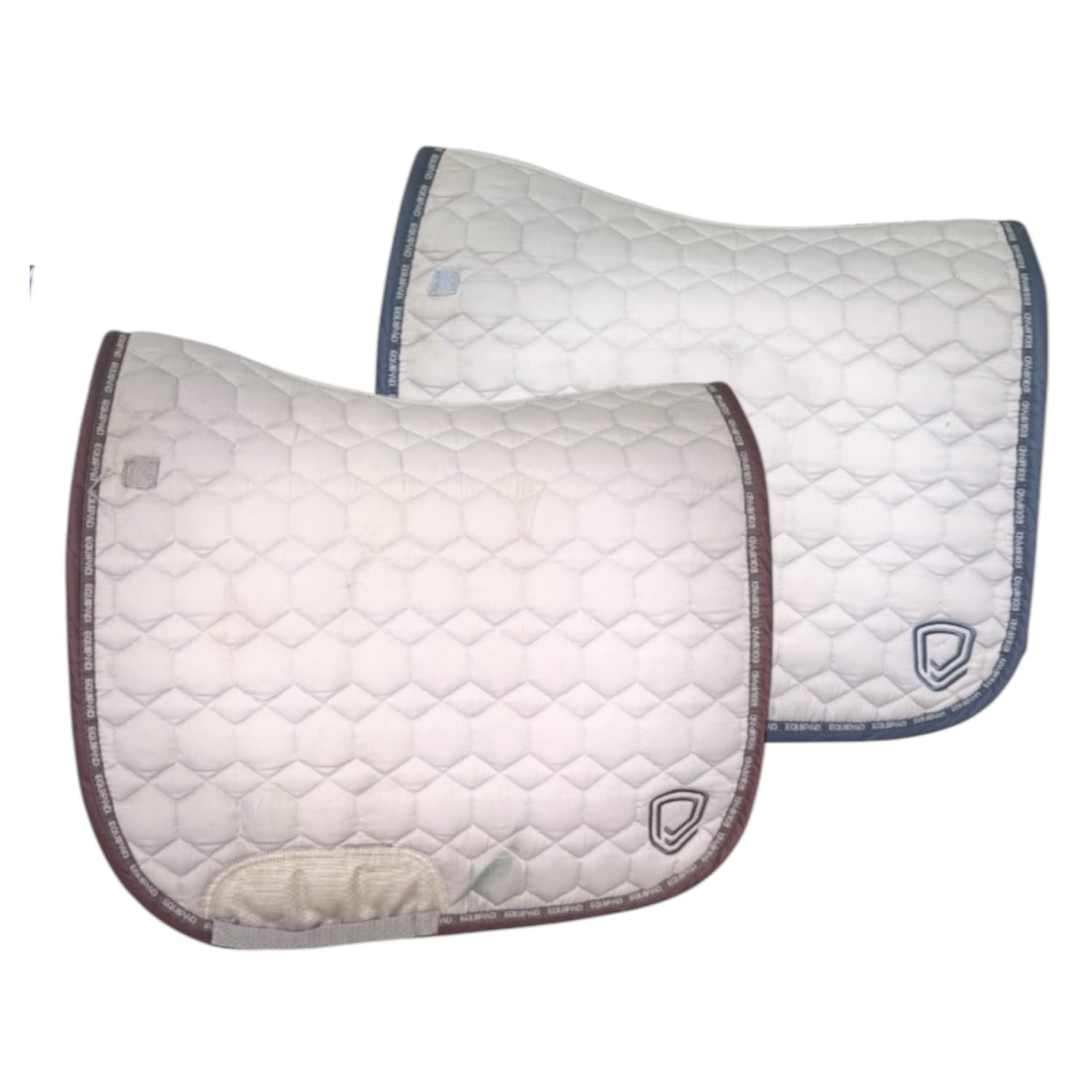 Bundle Deal - Georgia Rodgers