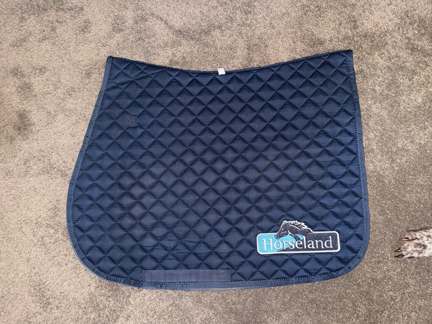 Roma all purpose saddle pad — image 1