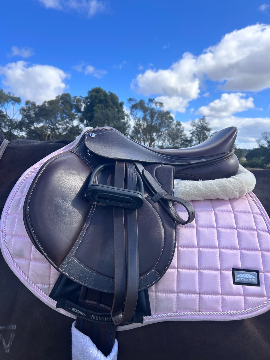 Brown Collegiate close contact 17.5 — image 1