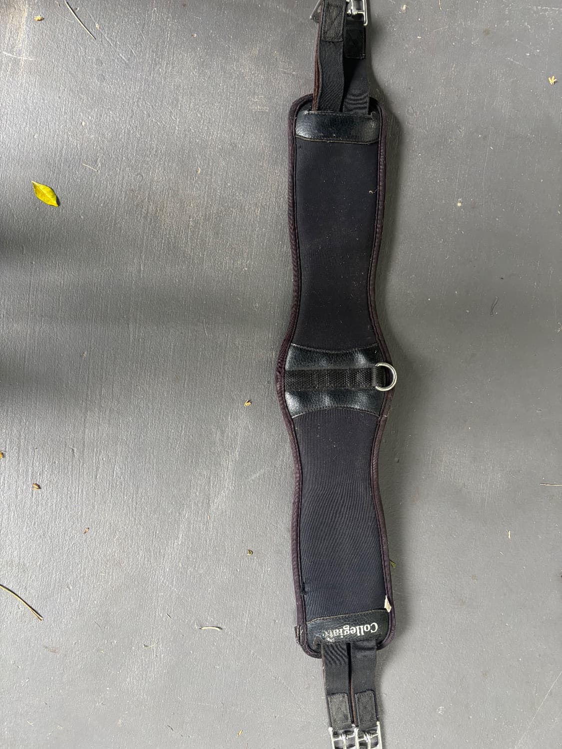 collegiate memory foam girth — image 1