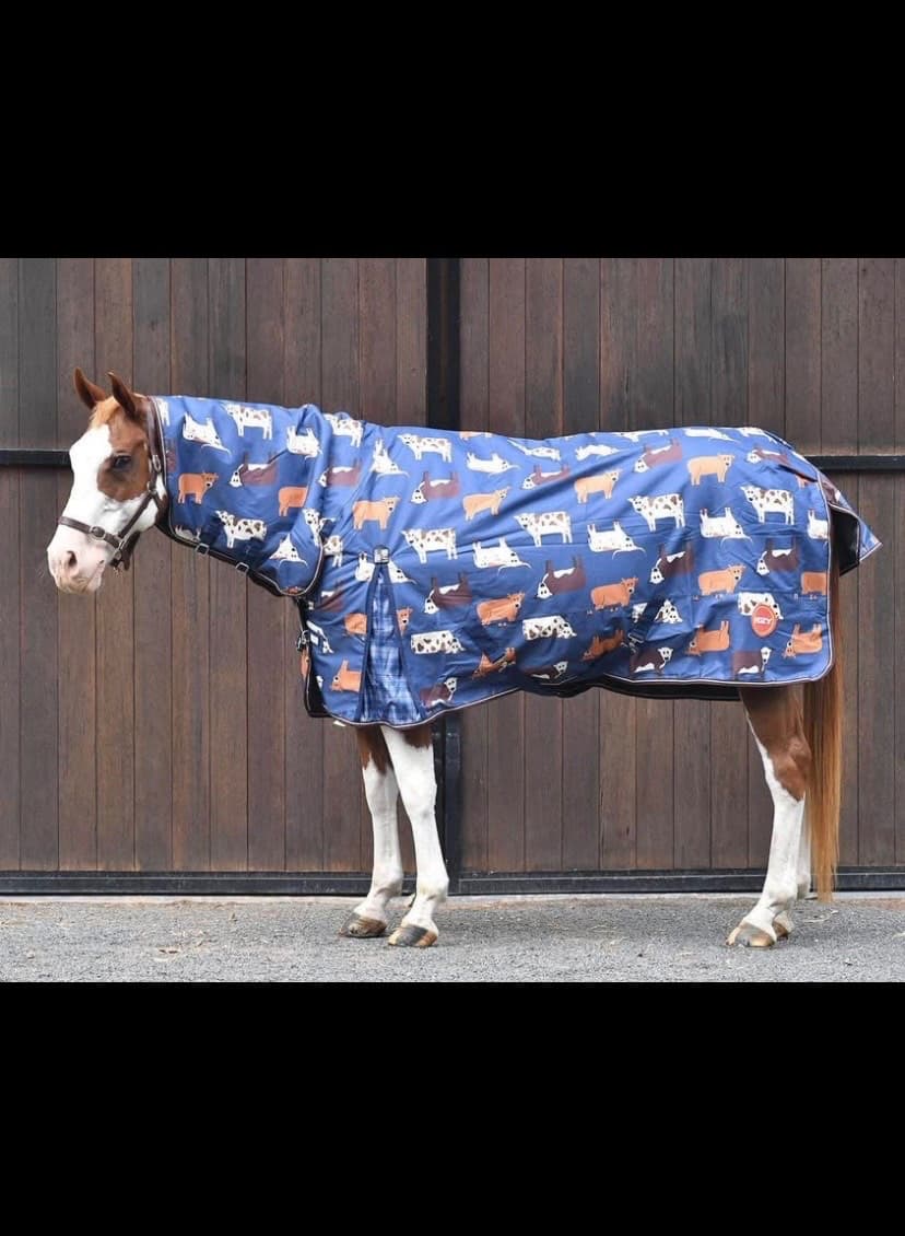 Horse Rug — image 1