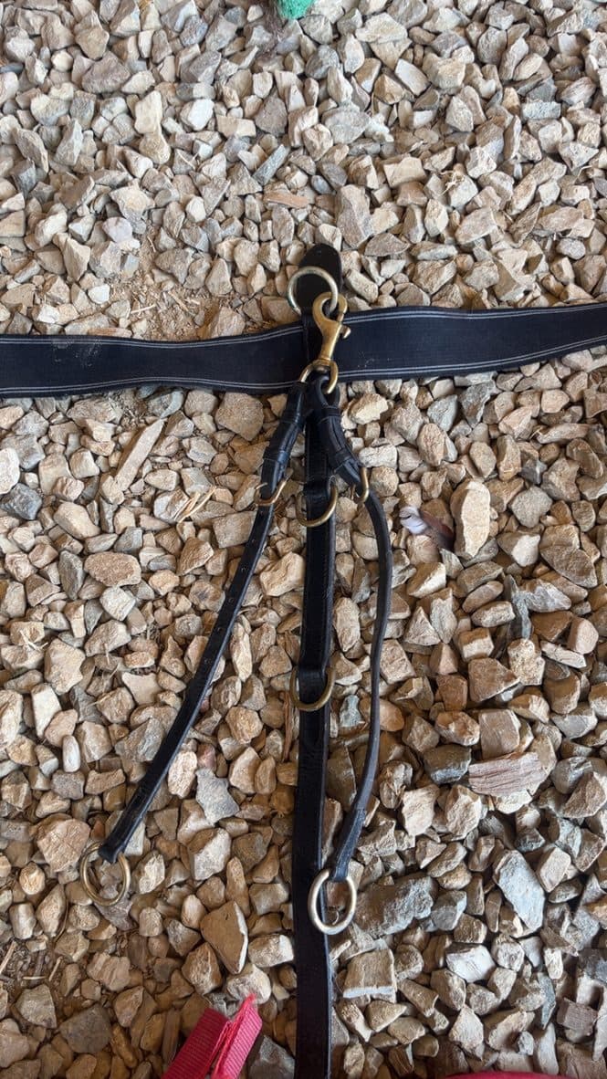 Black COB breastplate with rings 3-point — image 1