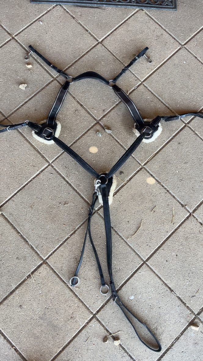 5-point black cob Breastplate RRP$149.95 — image 1