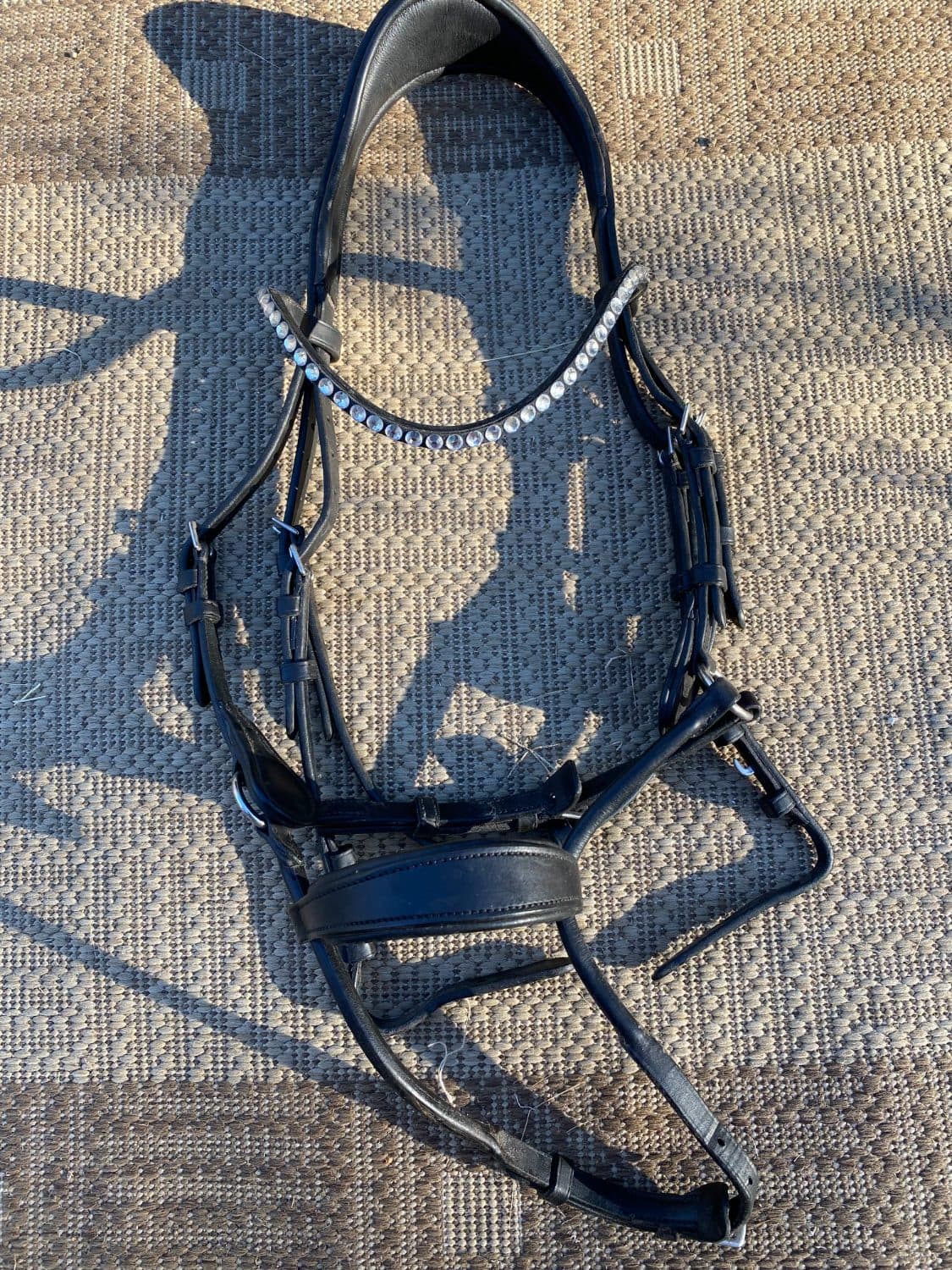 Collegiate Bridle black