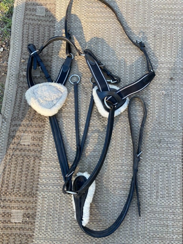 Five Point Breastplate