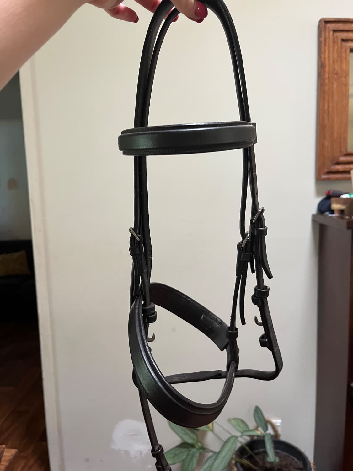 White Horse Equestrian Bridle — image 1