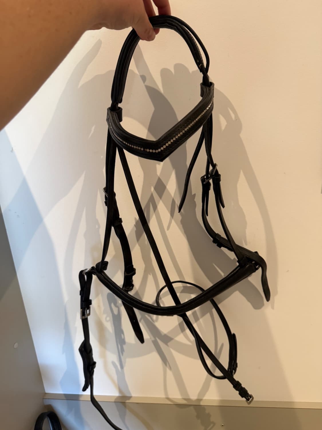 Black Bridle Size COB — image 1