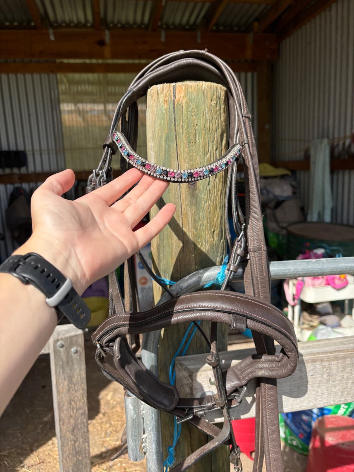 Trieste COB Bridle — image 1