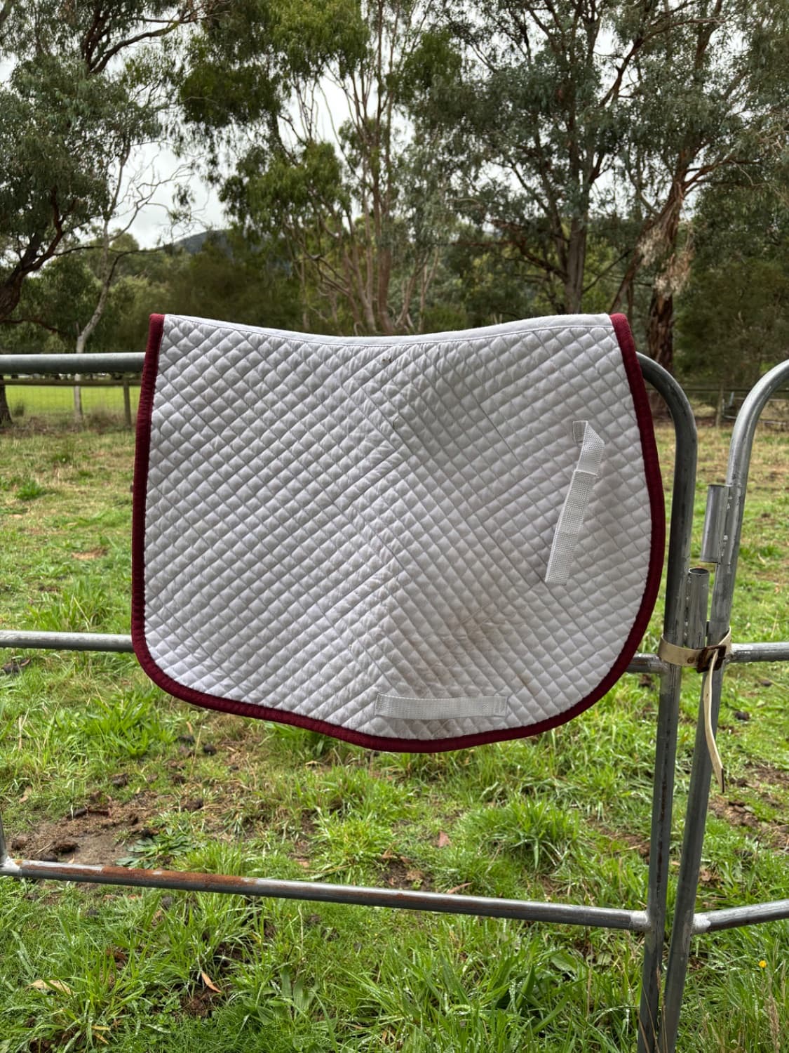 White All Purpose Saddle Pad