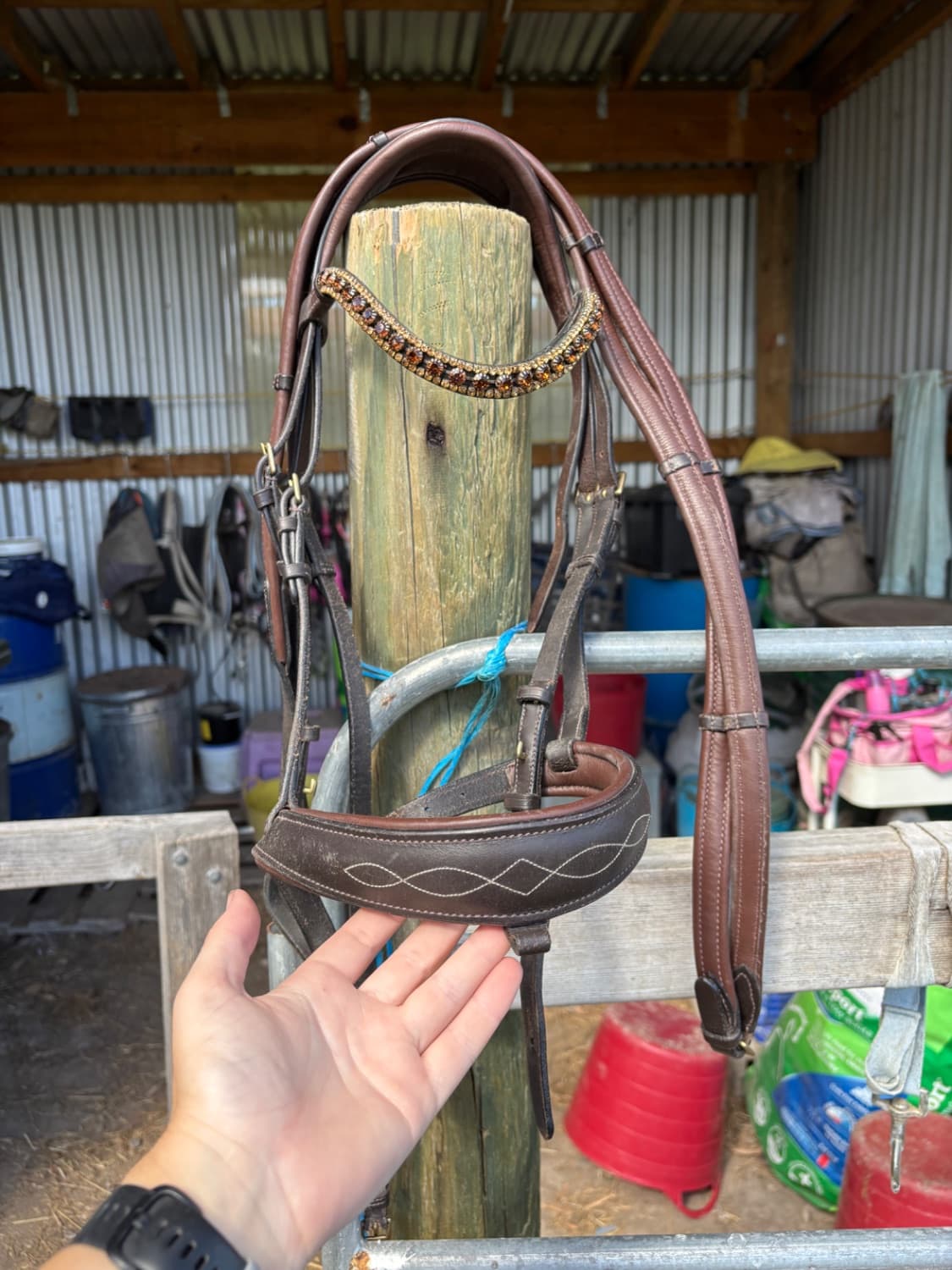 Trieste COB Bridle — image 1