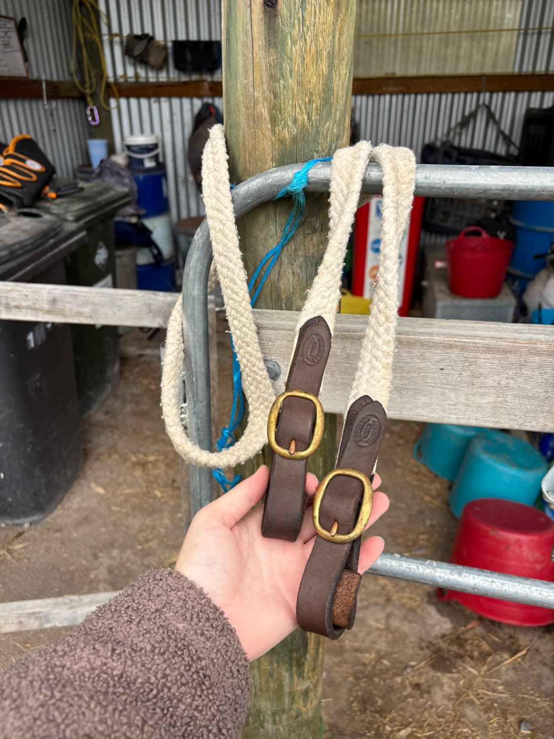 Games/Pony Club Reins — image 1