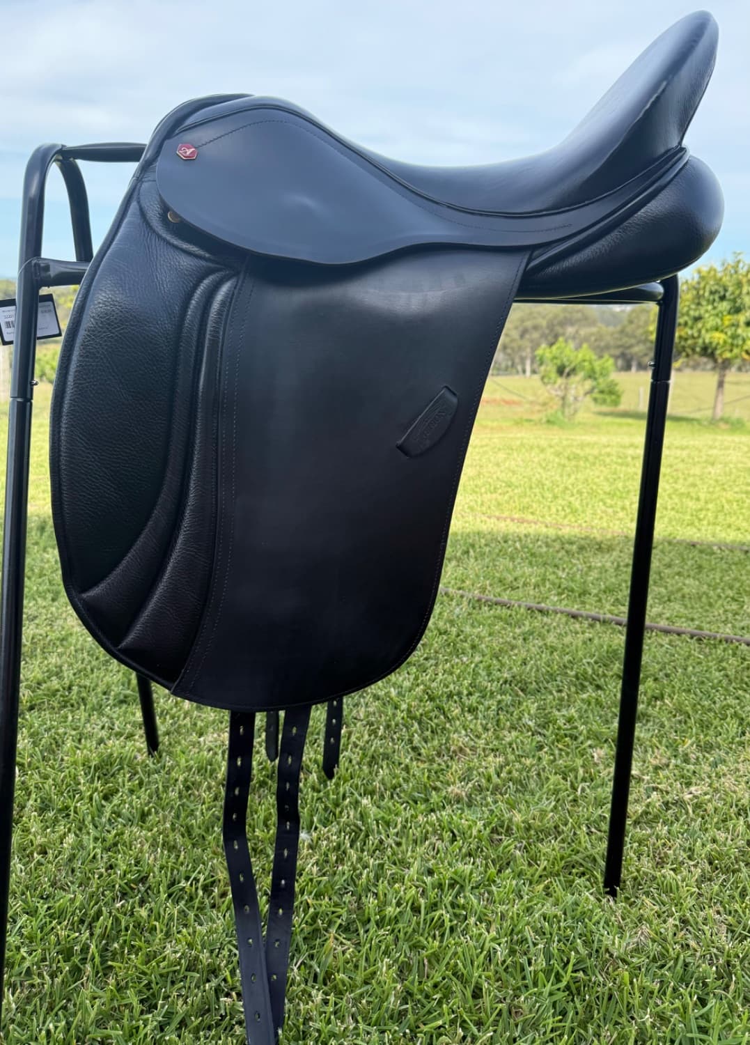 Albion Dressage Saddle — image 1