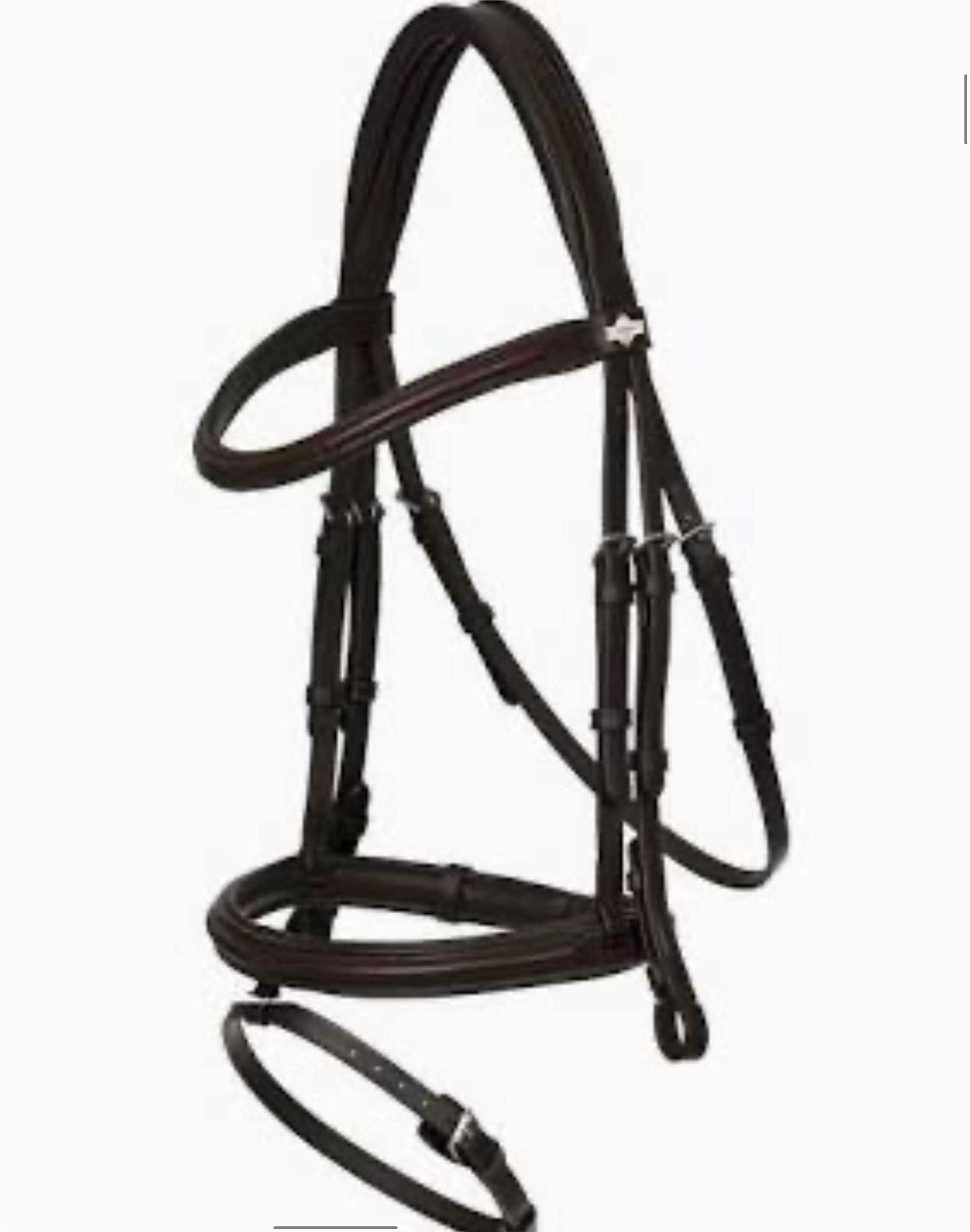 Bridle