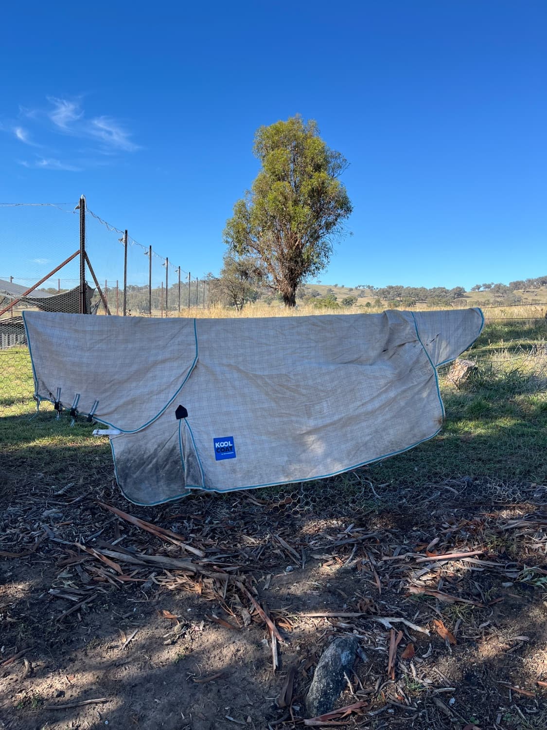 Weatherbeeta Kool Coat combo cotton — image 1