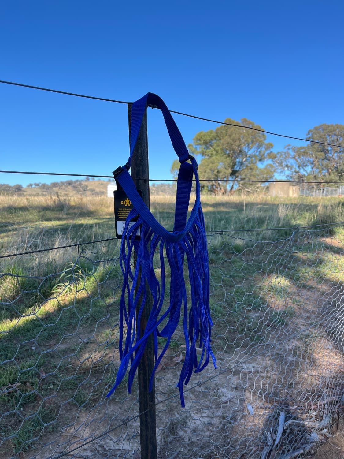 Saxon fly fringe — image 1