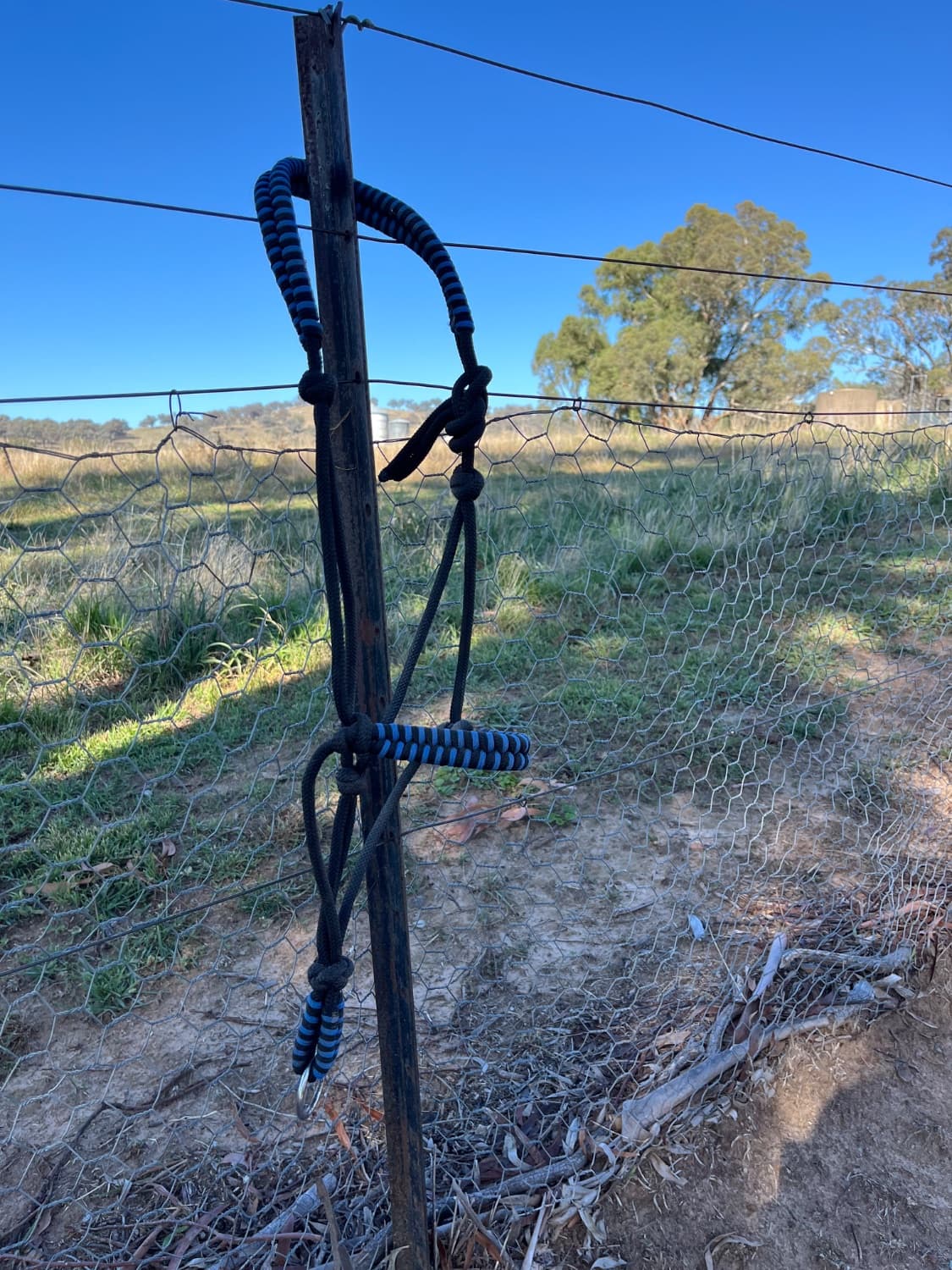 Saxon rope hater — image 1