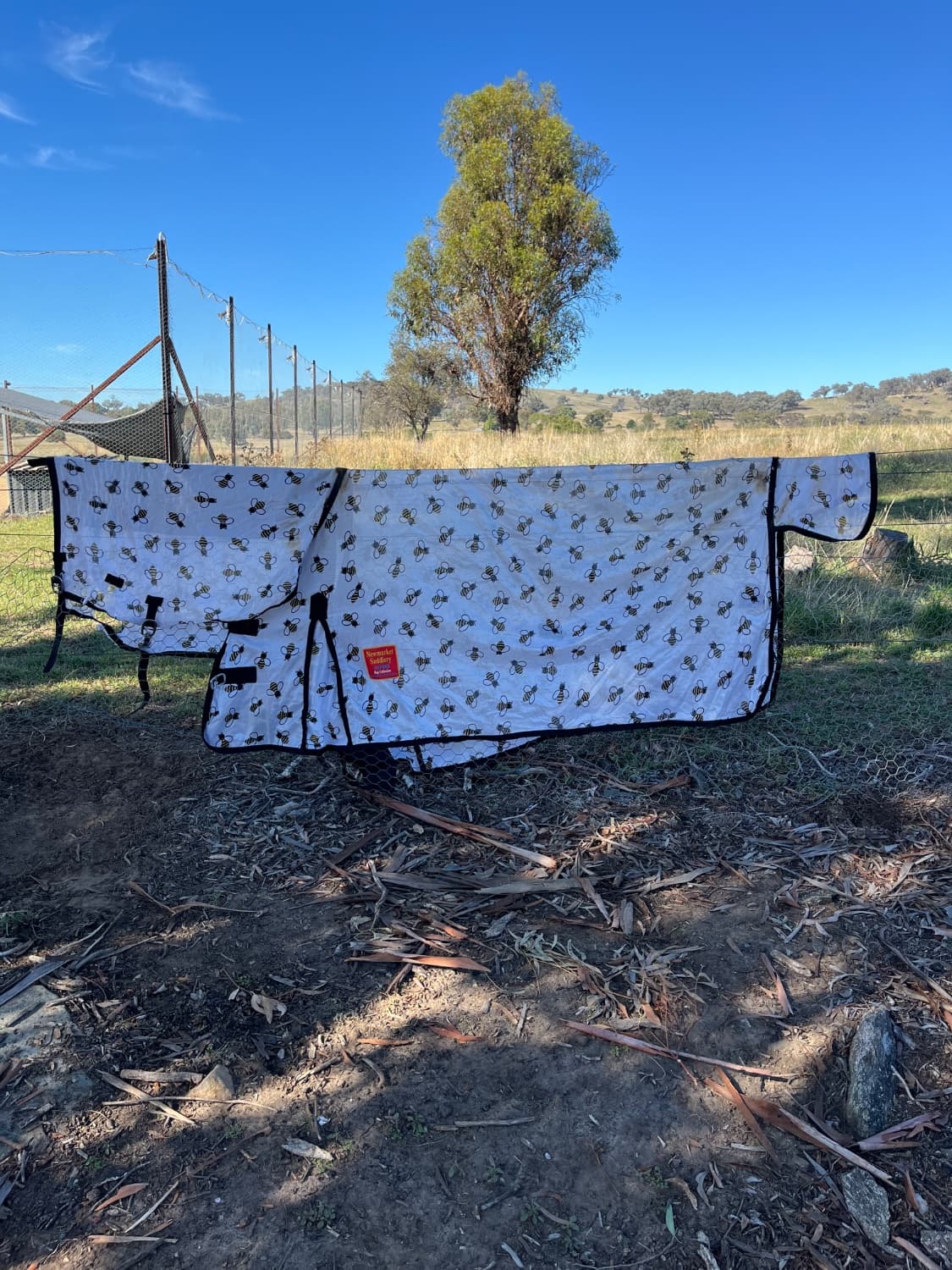 Newmarket Saddlery mesh combo — image 1