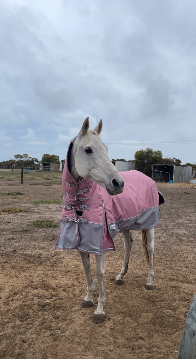 5’3 winter rug — image 1