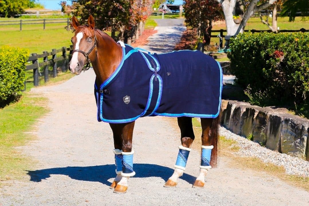 Gala Equine Kersey Wool Rug 6'6 — image 1