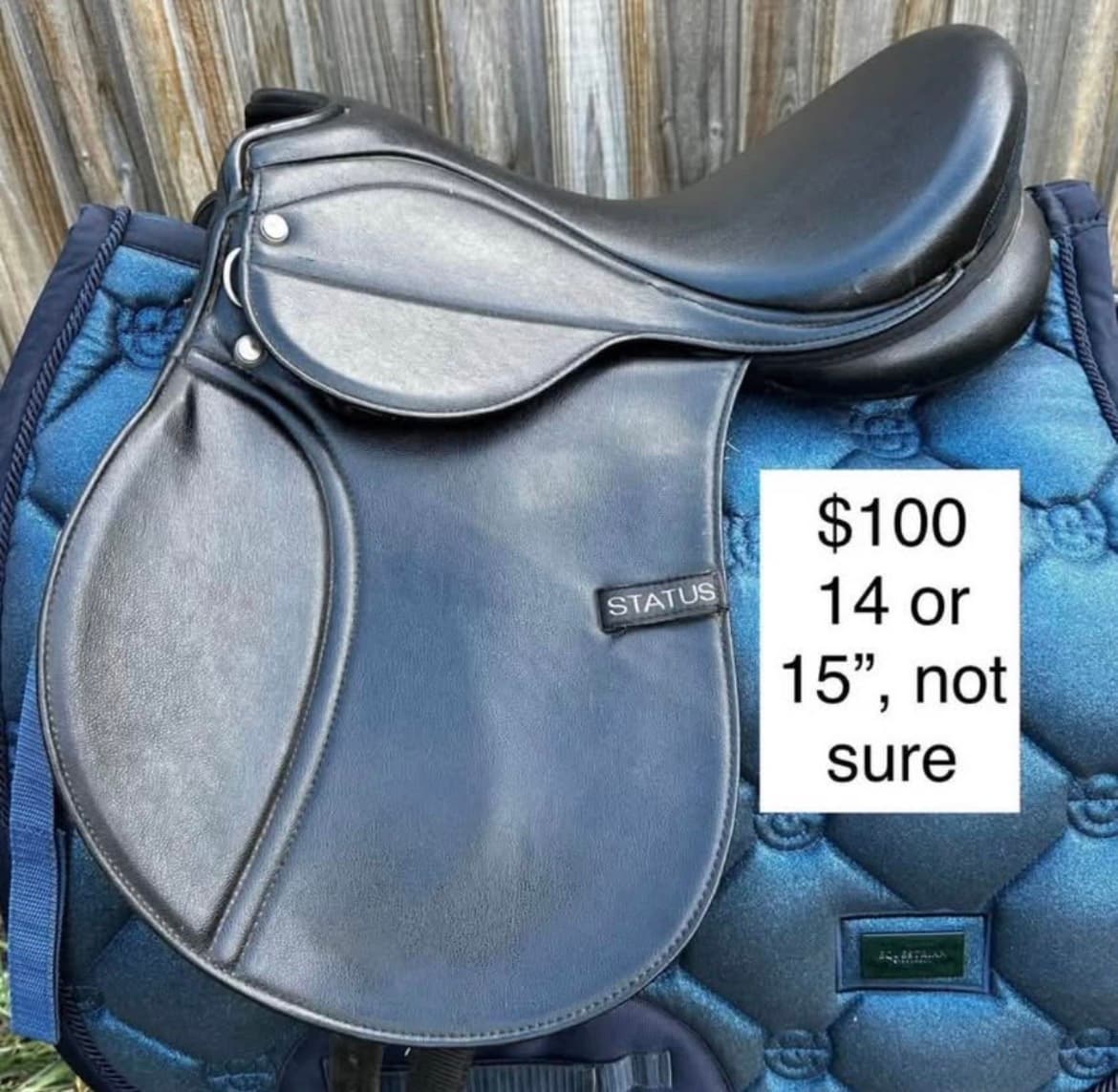 Status saddle — image 1