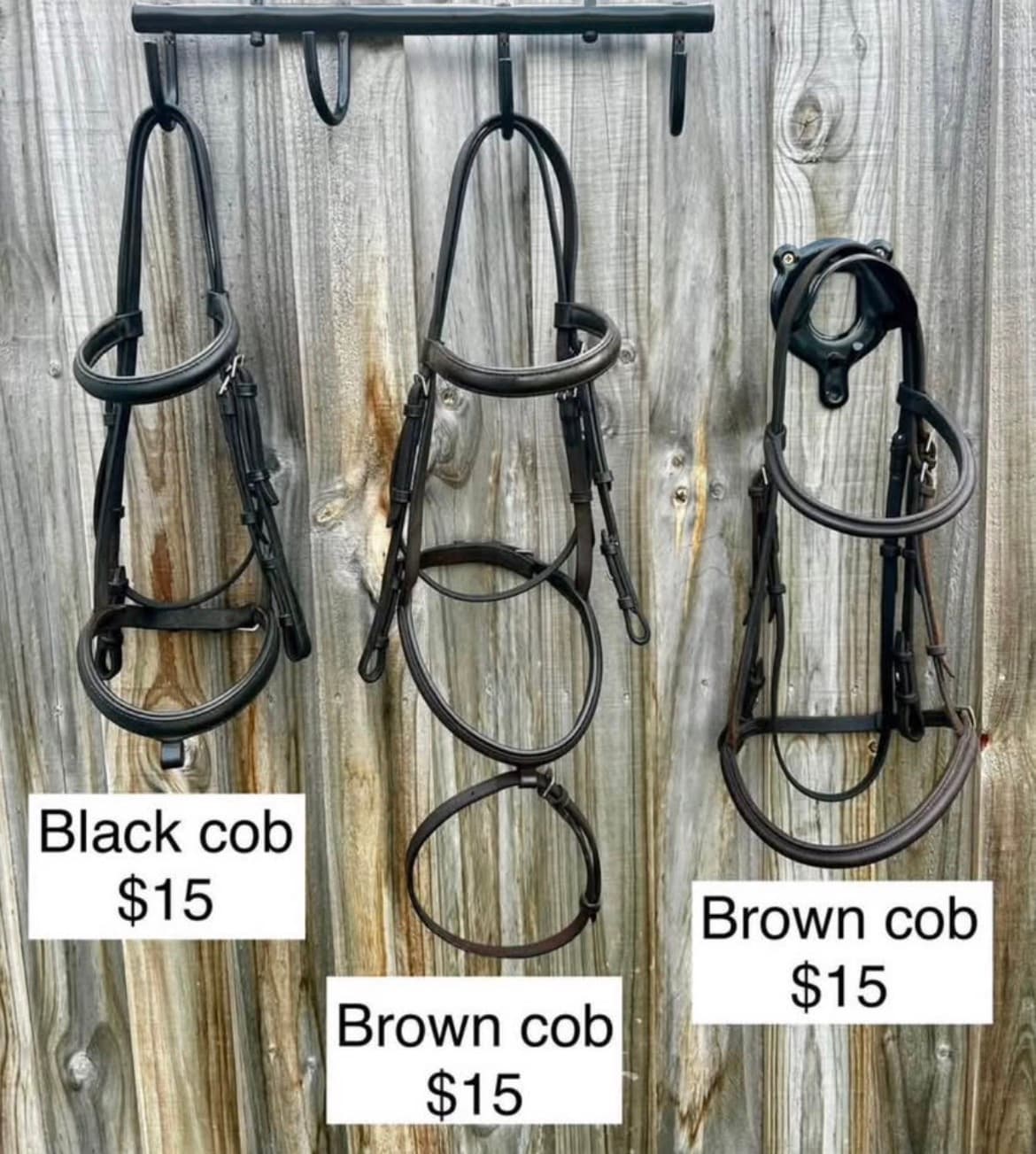 Bridles