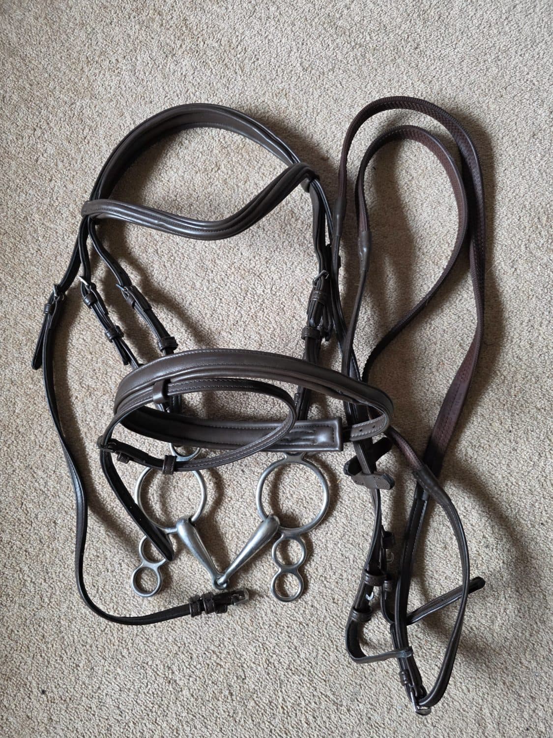 Collegiate bridle — image 1