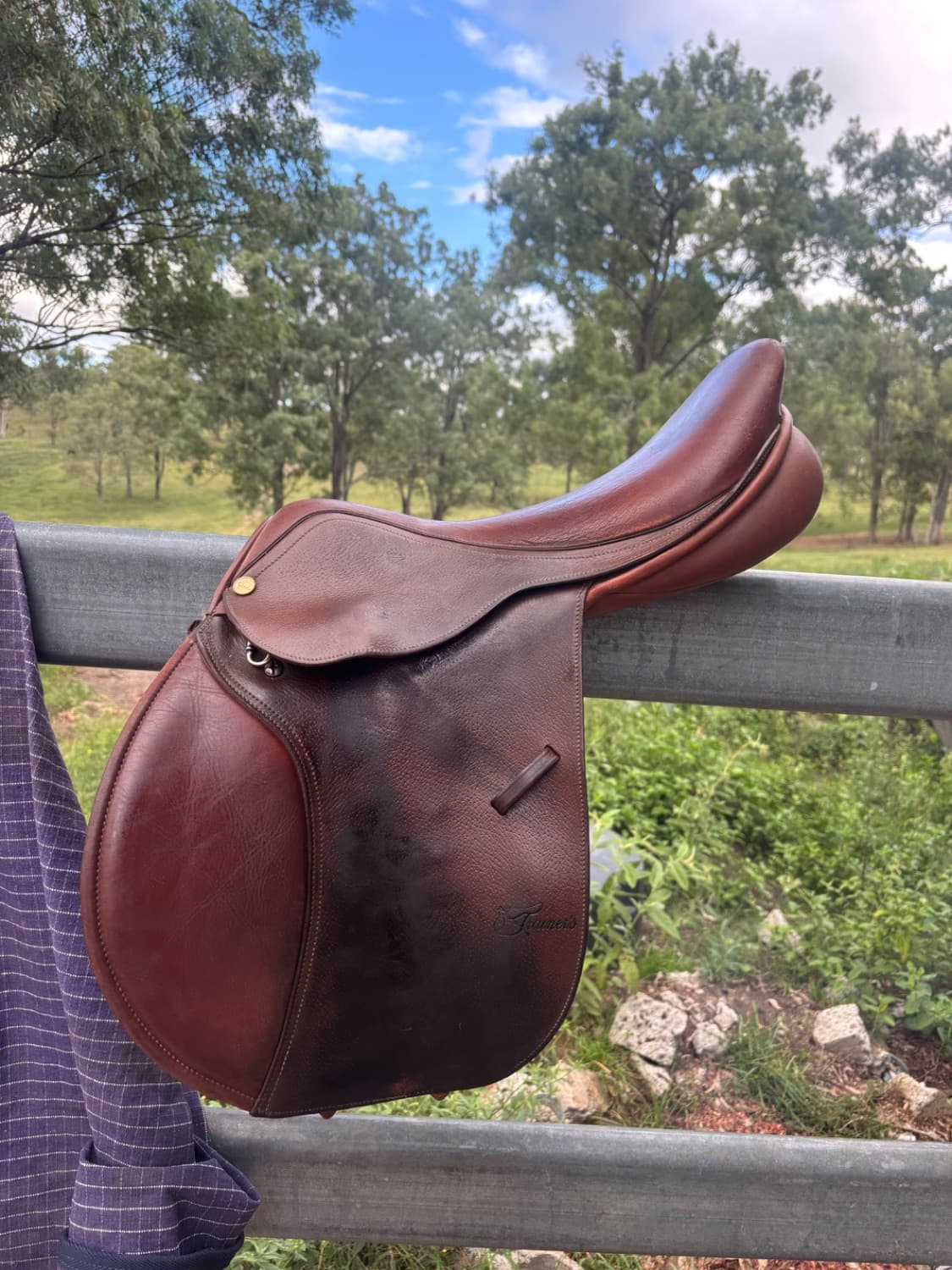 Trainers jump saddle — image 1