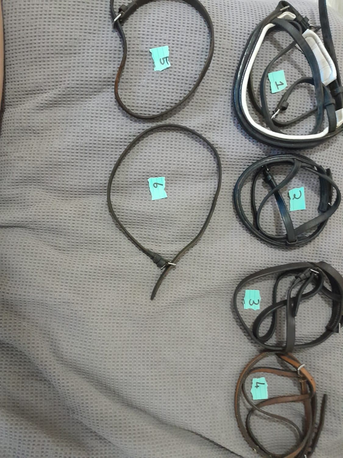 Nosebands more details below — image 1