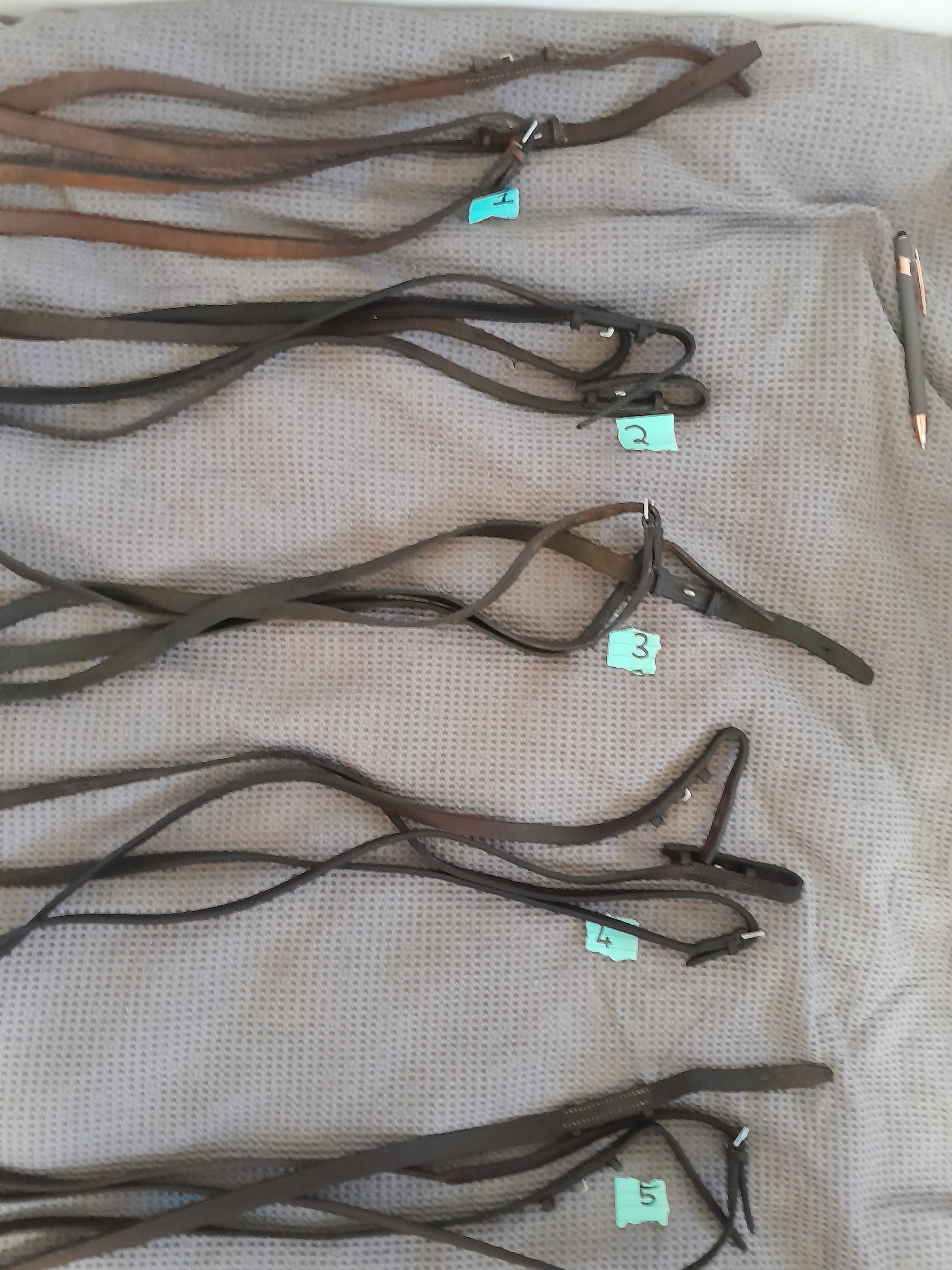 Leather reins more details below — image 1