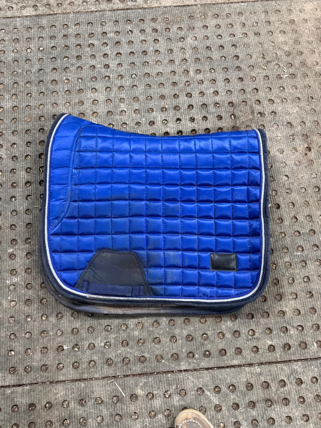 Lady Godiva Equestrian Electric Blue jump saddle pad — image 1