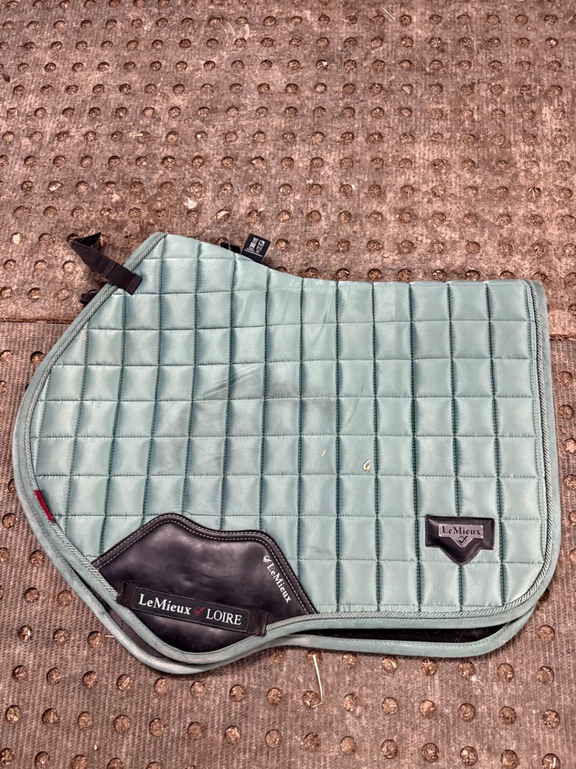 Lemieux Loire Sage jump cut saddle pad — image 1