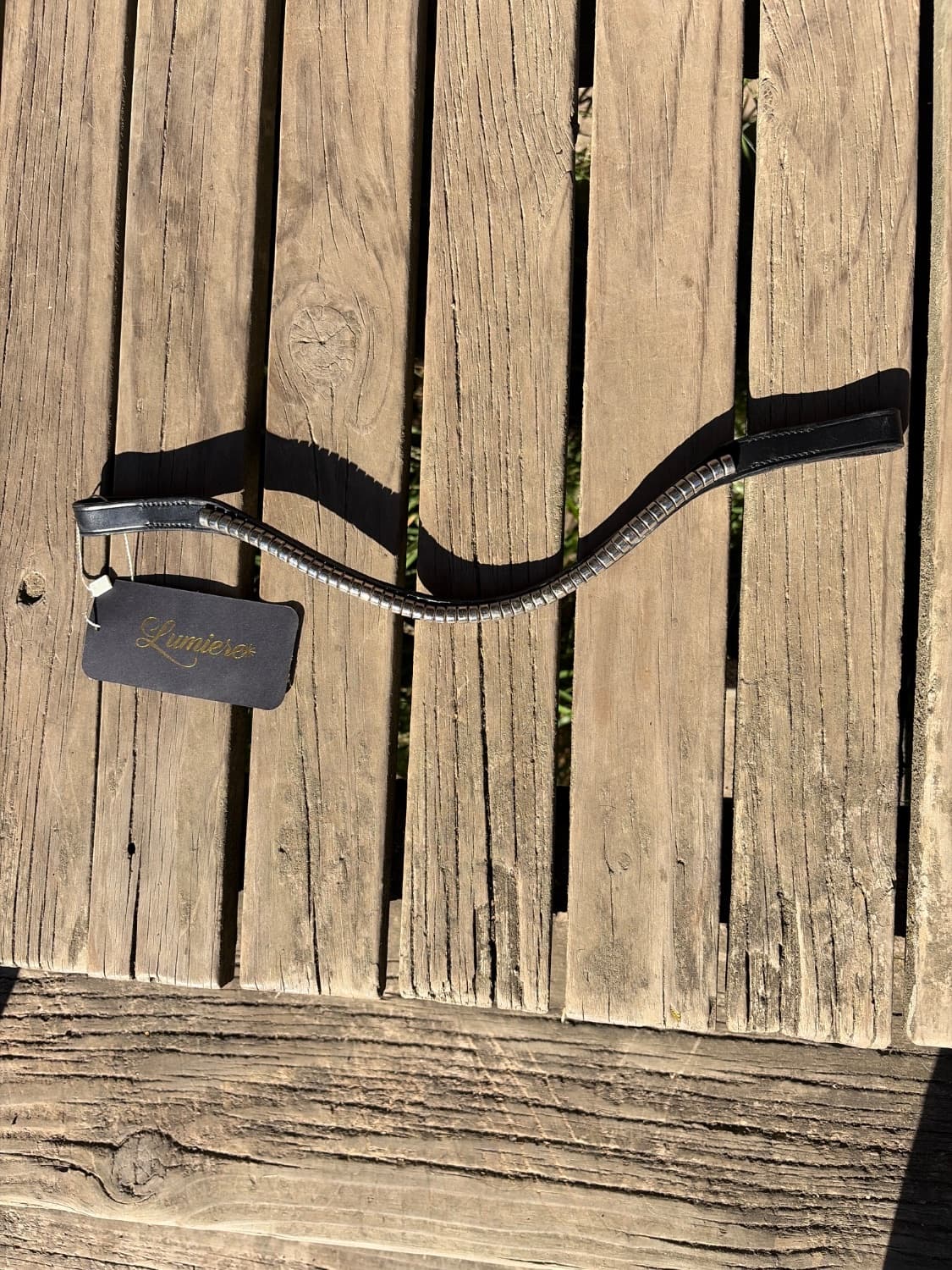 Lumiere Cob browband