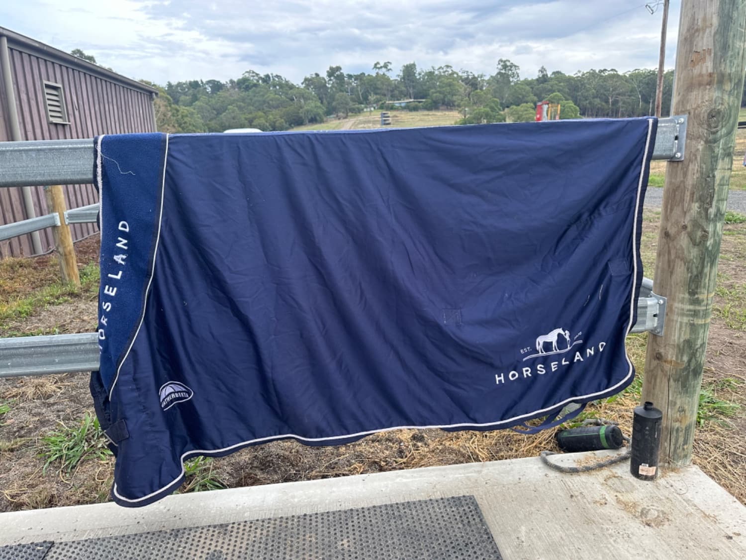 Horseland trophy cotton rug — image 1