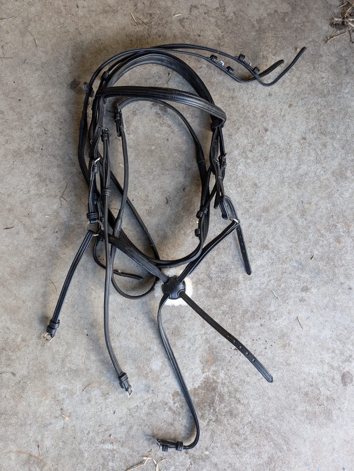 Grackle Bridle — image 1
