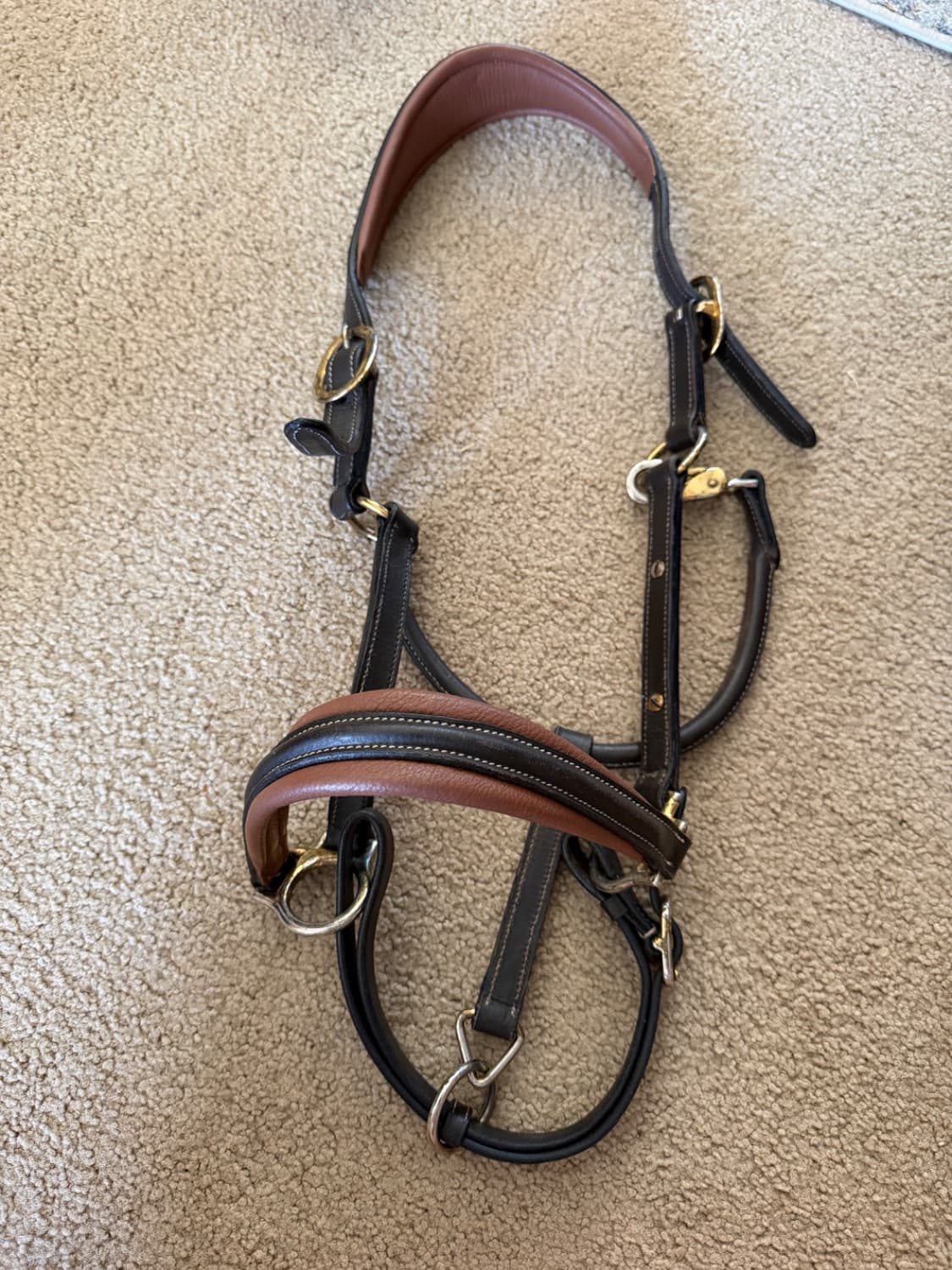 Lumiere Leather Halter