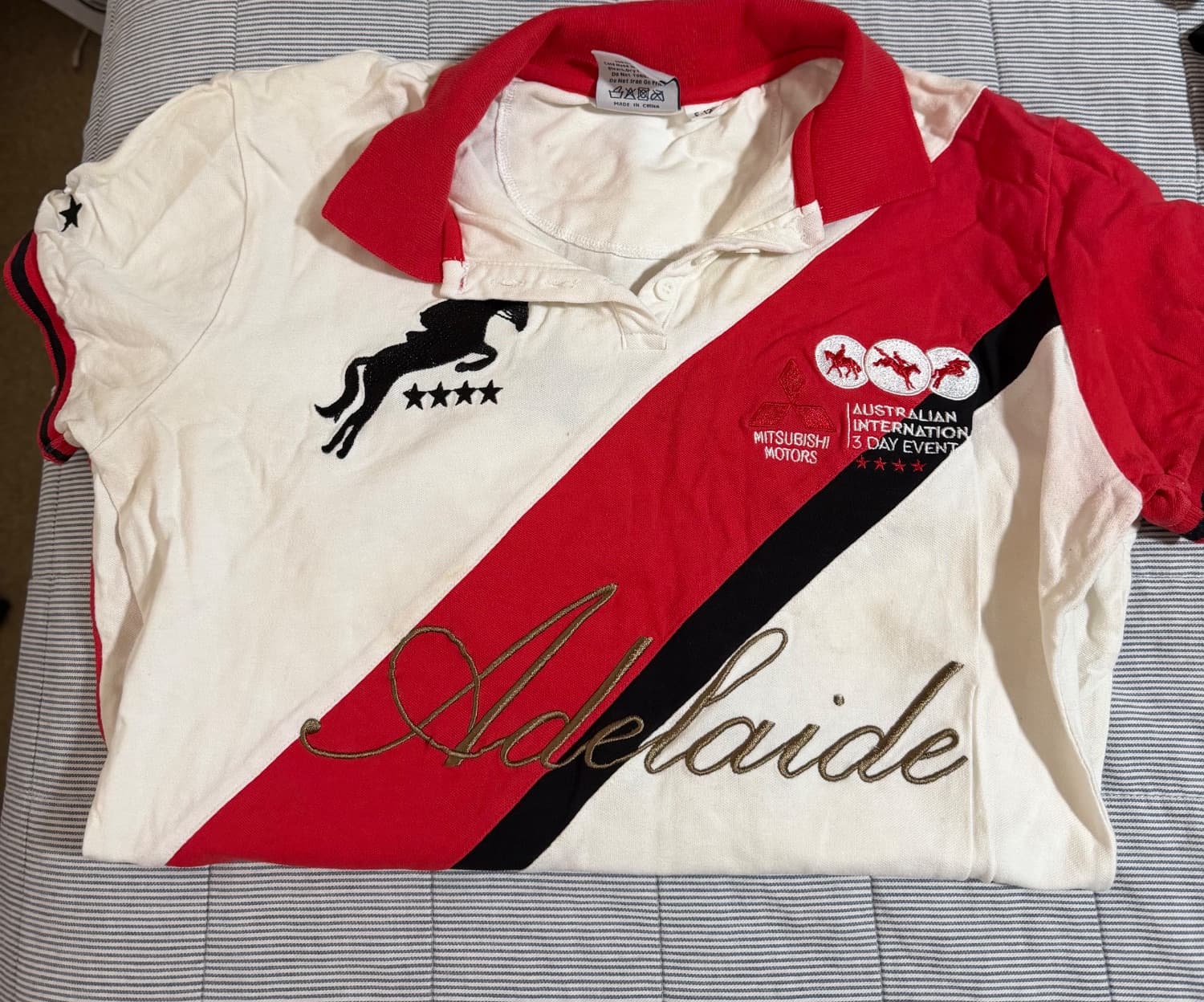 AI3DE Polo — image 1