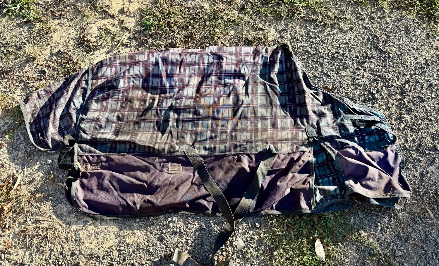 5’6 Winter Rug — image 1