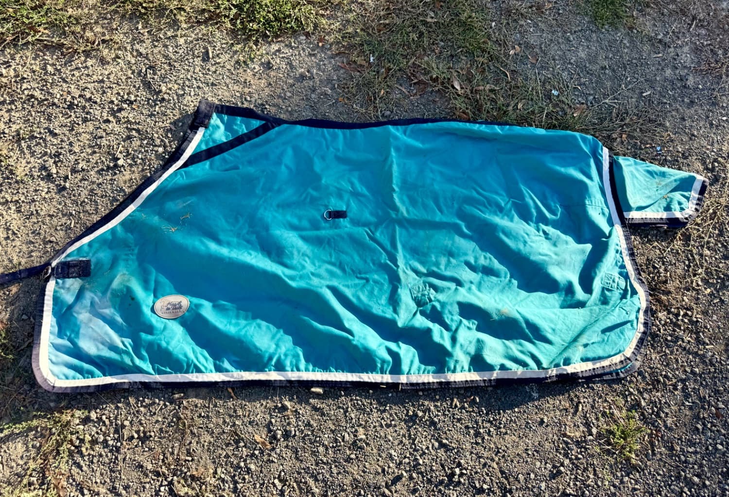 6’3 Cotton Show Rug — image 1