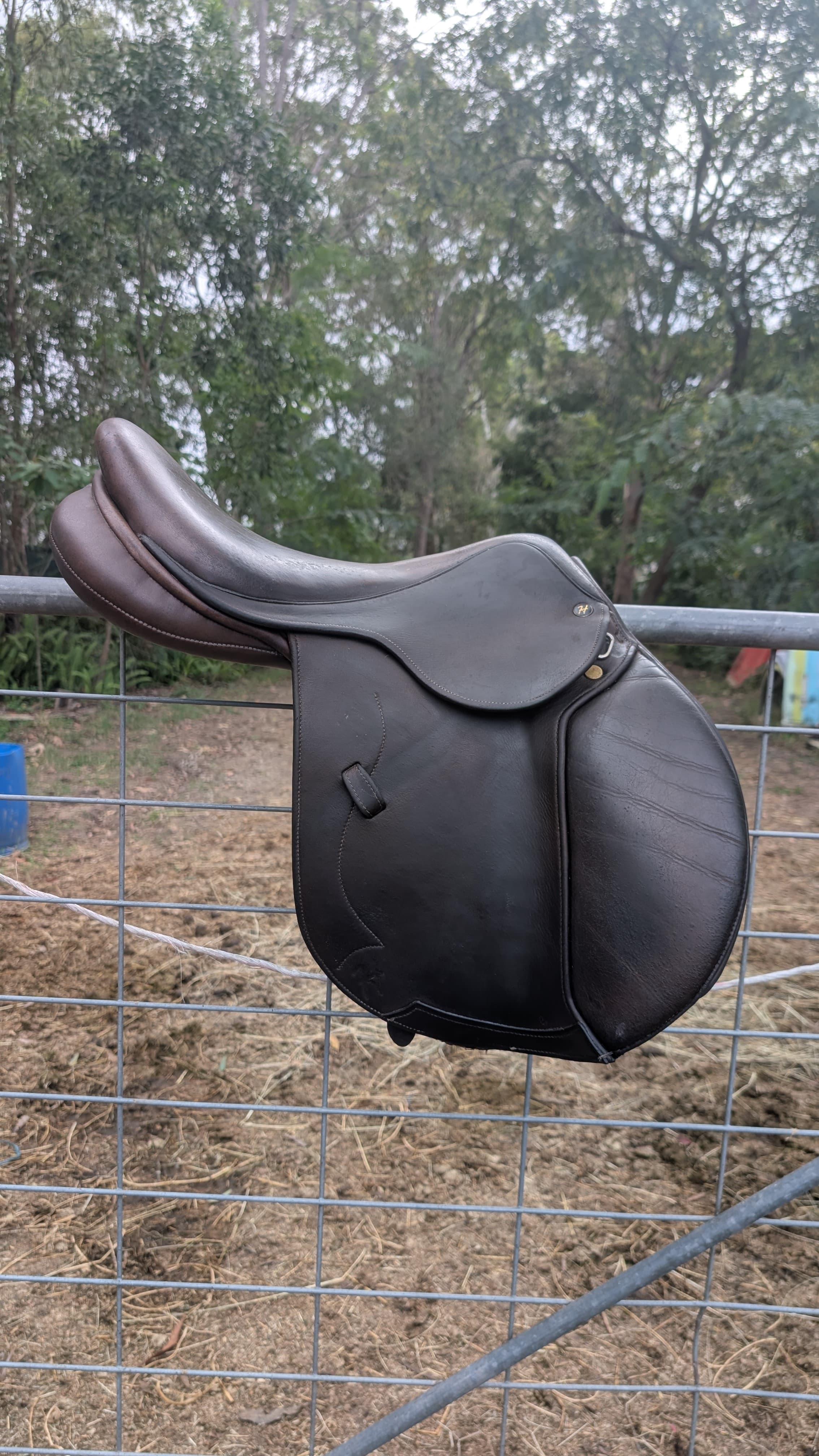 Hawkesbury River Platinum Jump Saddle — image 1