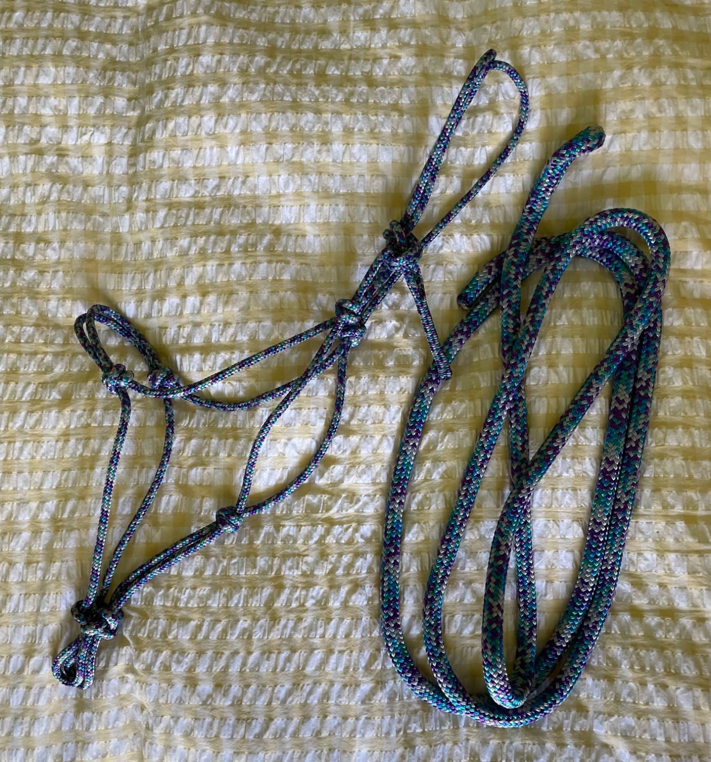 Bubblegum Foal Halter & 10ft Lead — image 1