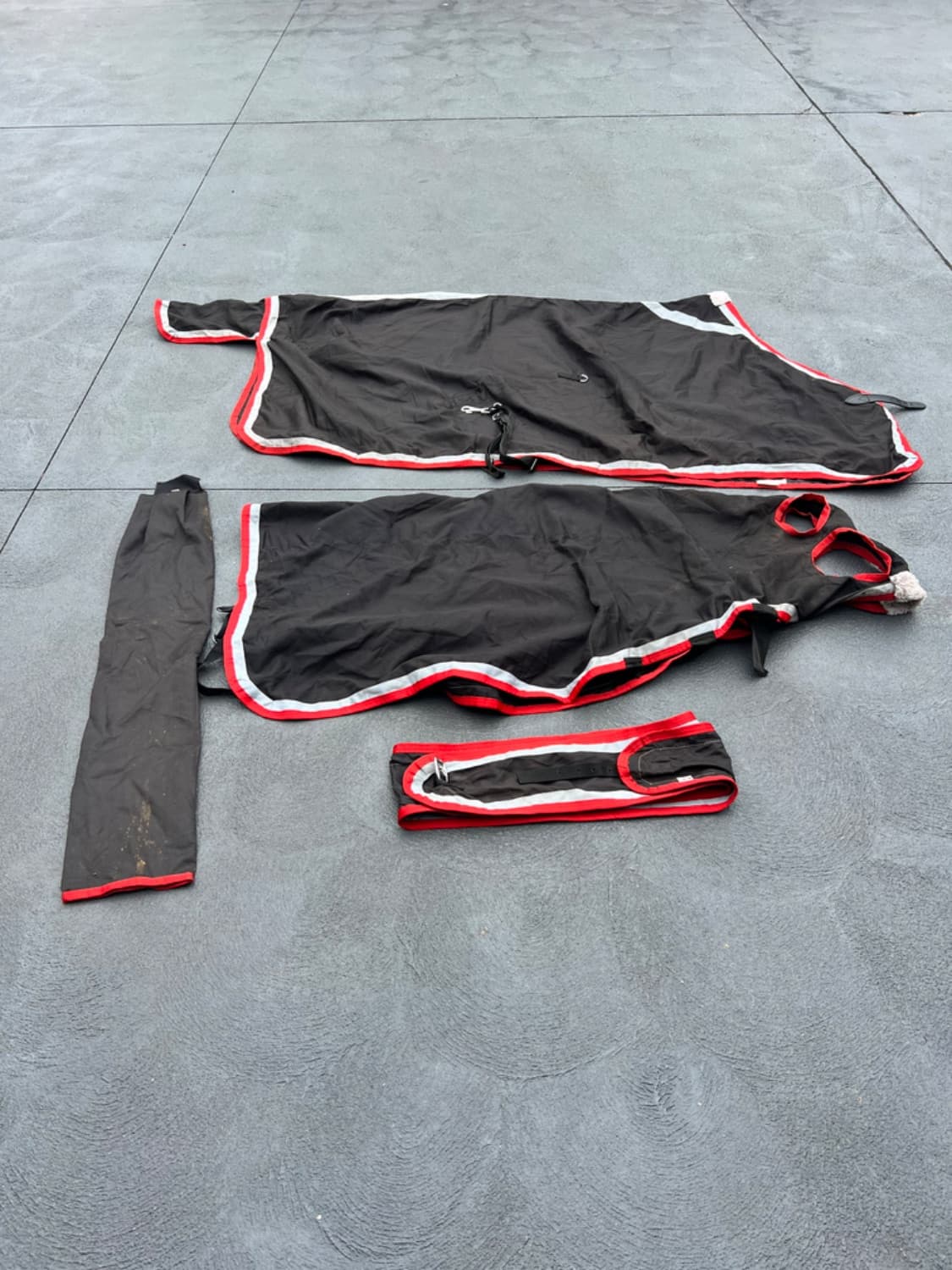 Gala Equine Show Set + Surcingle Black with Red & Platinum Trim