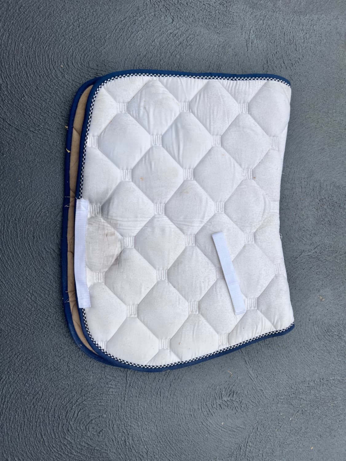 Roma White W Navy Trim All Purpose Saddle Pad