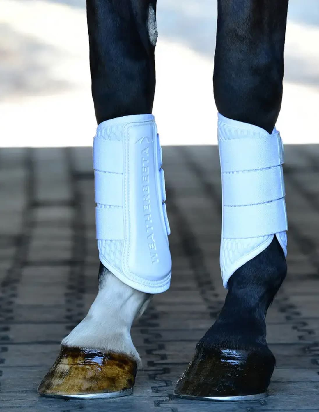 Weatherbeeta Tough-Tec Mesh Brushing Boots - White